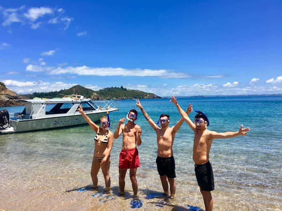 Bay of Islands: 4.5 Hour Day Cruise and Island Getaway Tour - Sailing through 144 islands