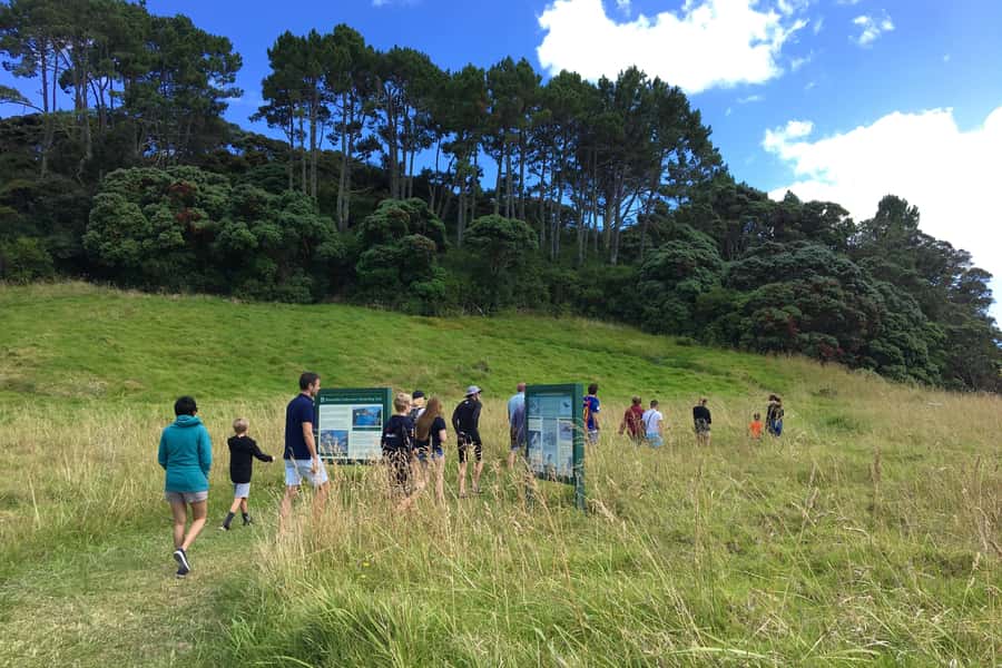 Bay of Islands: 4.5 Hour Day Cruise and Island Getaway Tour - The Hole in the Rock and Cape Brett