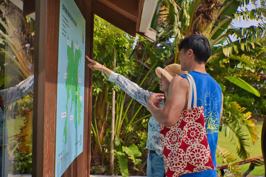 Bay of Islands: Discover the Bay Cruise with Island Lunch - How much time you really spend on each part