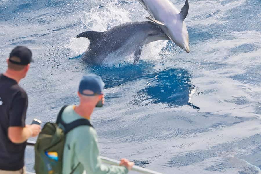 Bay of Islands: Discover the Bay Cruise with Island Lunch - What the power catamaran is like on the water