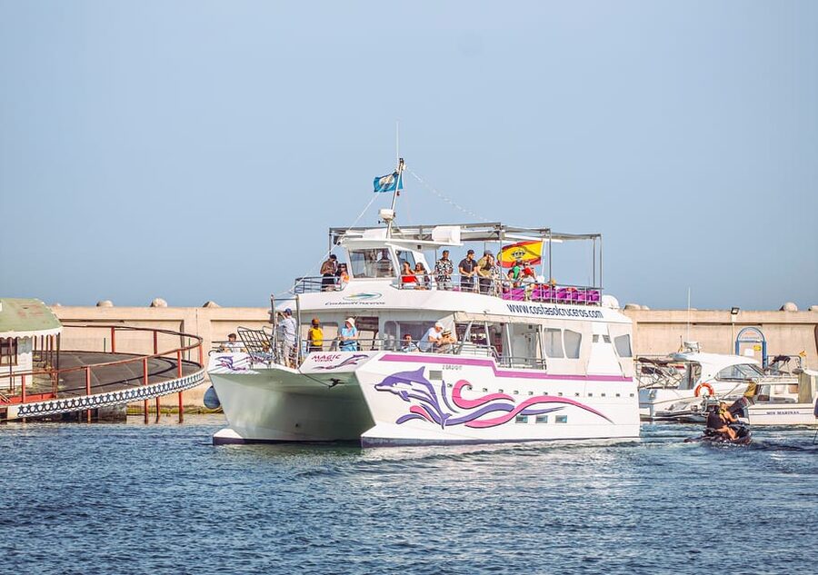 Benalmadena: Dolphin Watching Boat Tour - Key points to know before you go