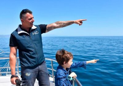 Benalmadena: Dolphin Watching Boat Tour