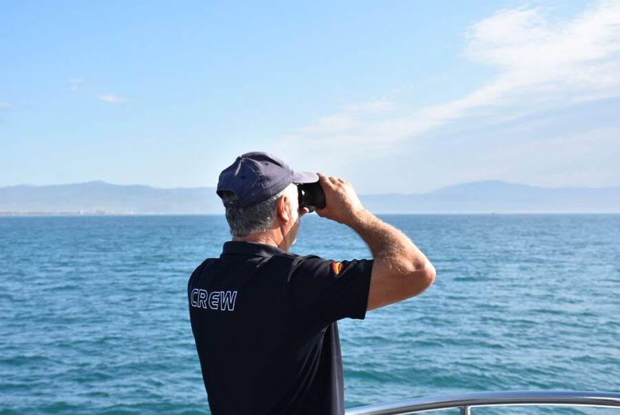 Benalmadena: Dolphin Watching Boat Tour - Sea conditions and motion sickness