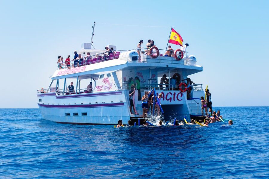 Benalmadena: Dolphin Watching Boat Tour - Is $22 good value?