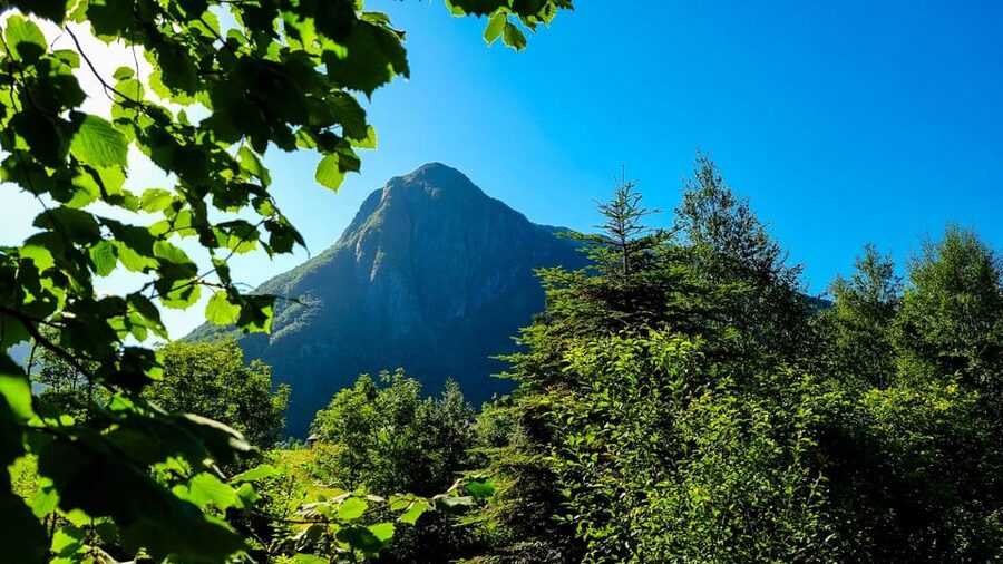 Bergen: Cruise to beautiful Rosendal by the Hardangerfjord - Rosendal: three and a half hours in a small village