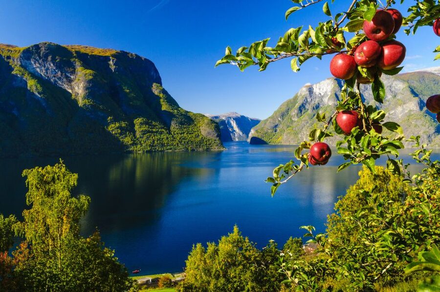Bergen: Viking Village, Nærøyfjord Cruise & Flåm Railway - Why this Bergen day trip works