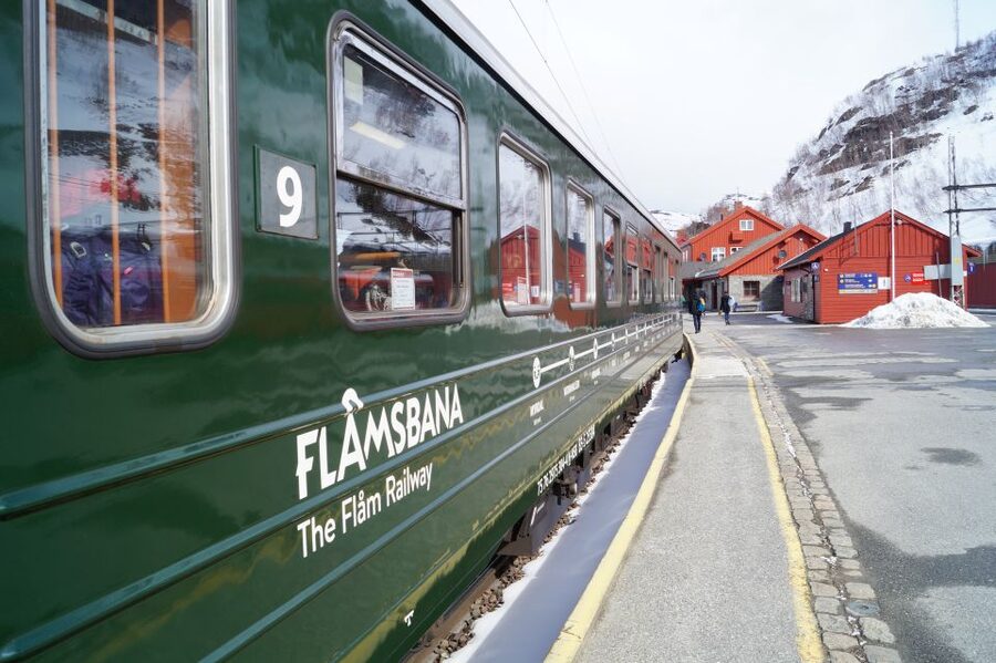 Bergen: Viking Village, Nærøyfjord Cruise & Flåm Railway - Njardarheimr and the Viking past