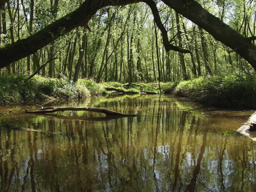 Biesbosch: Boat Cruise through National Park - Why Biesbosch is best seen from the water