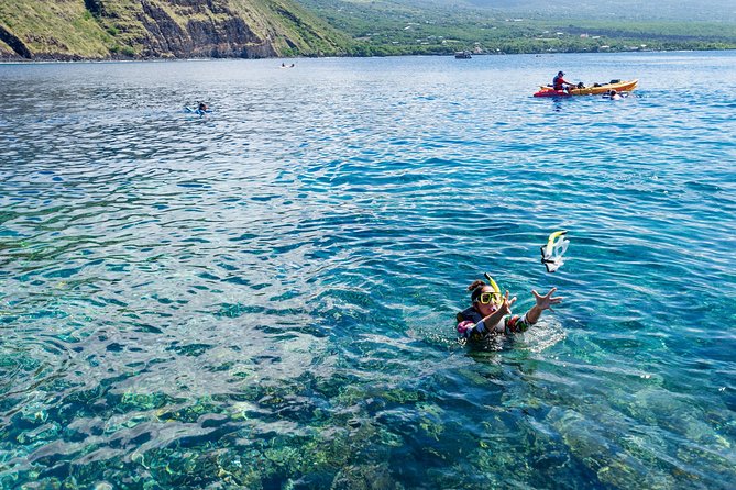 Big Island: Captain Cook Snorkel On A Power Catamaran With Lunch - Why Kealakekua Bay is worth the ride