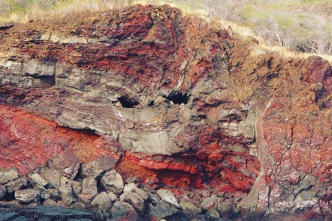 Big Island Historical Dinner Cruise to Kealakekua Bay - Dinner with local ingredients and practical expectations
