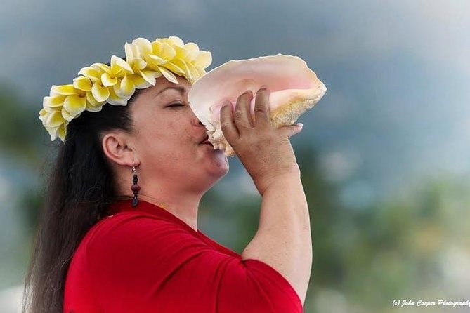 Big Island Historical Dinner Cruise to Kealakekua Bay - Why the historical narration adds real value