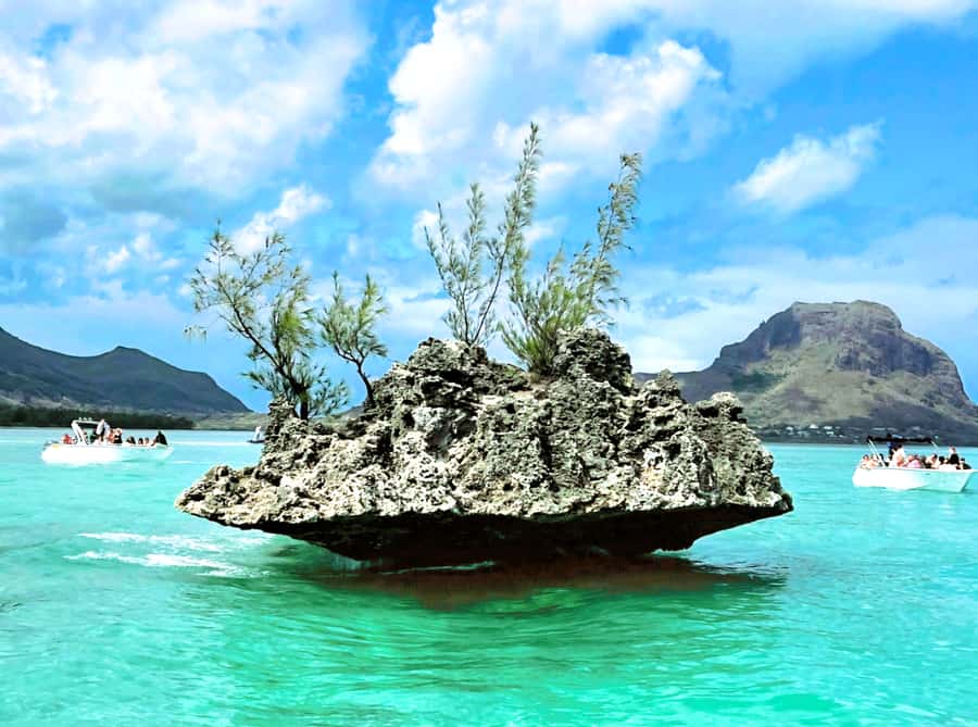 Black River: Swim with Dolphin Speed Boat Tour with lunch - Who will enjoy this Mauritius outing most?