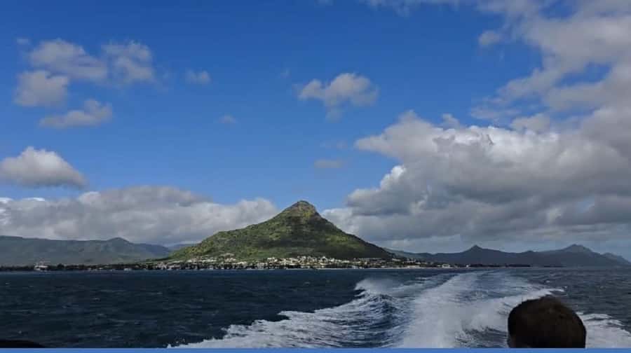 Black River: Swim with Dolphin Speed Boat Tour with lunch - Should you book the Black River dolphin tour?