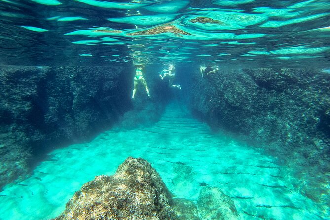 Blue Cave, Green Cave & Lopud Beach small group Speed boat Tour - Who will enjoy this boat trip most?