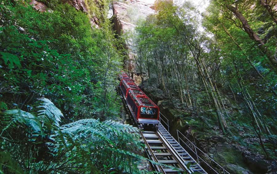 Blue Mountain: Small-Group Tour with Lunch & Scenic World - The guides make the difference