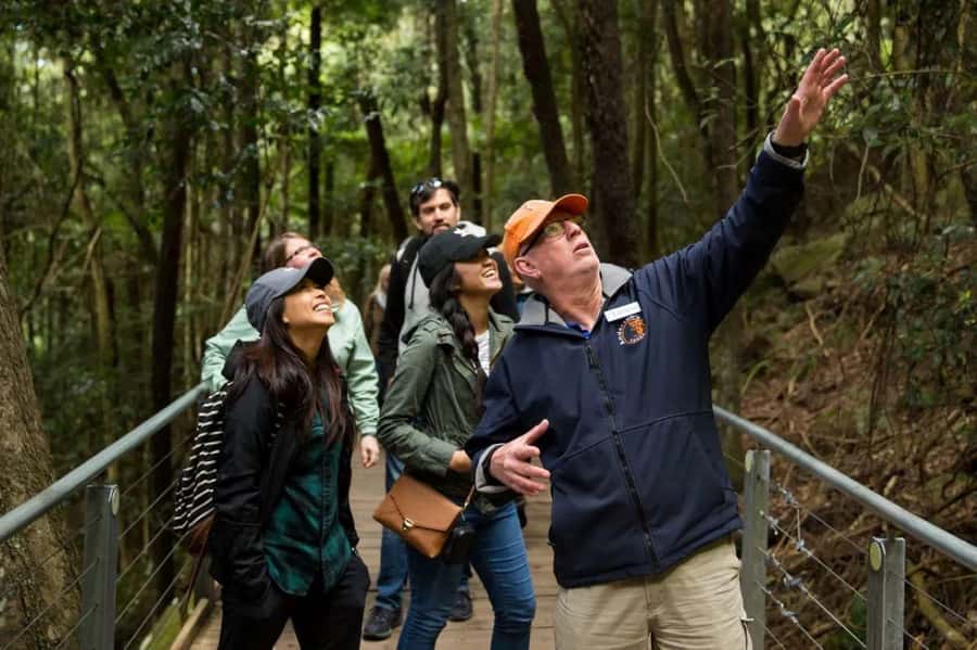 Blue Mountain: Small-Group Tour with Lunch & Scenic World - Scenic Railway, Skyway, and Cableway