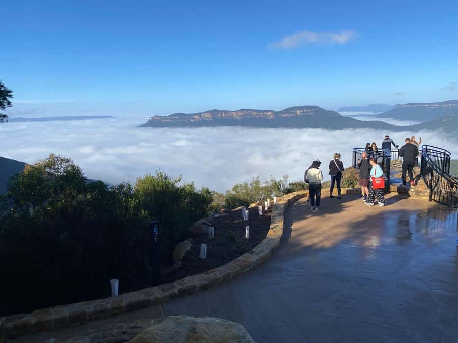 Blue Mountain: Small-Group Tour with Lunch & Scenic World - Featherdale Wildlife Park or Sydney Zoo