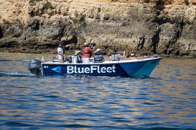 Boat Trip to Ponta da Piedade from Lagos - What the guides add to a short trip