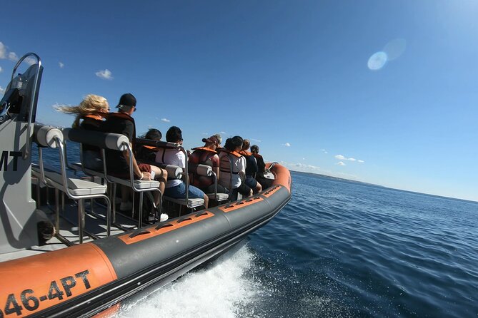Boat trip to the caves of Benagil - Timing, weather, and cancellation details