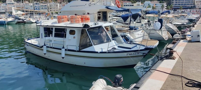 Boat trip to the Medes Islands, caves and stop for swimming - Along the Costa Brava: coves, cliffs, and Roca Foradada
