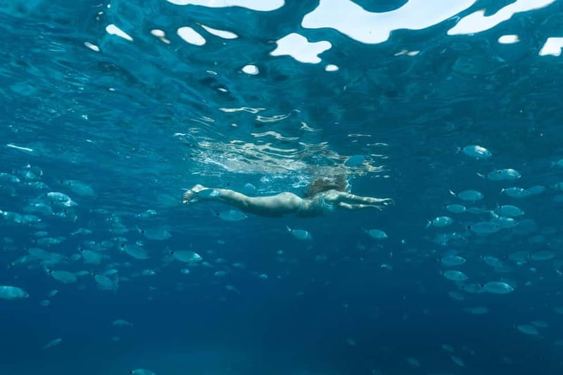 Bonifacio: Catamaran trip with snorkeling at the Lavezzi Islands - Weather changes the plan