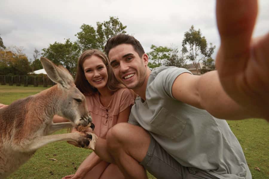 Brisbane River Cruise and Koala Sanctuary Visit - Koalas, Kangaroos, and a Paid Close Encounter