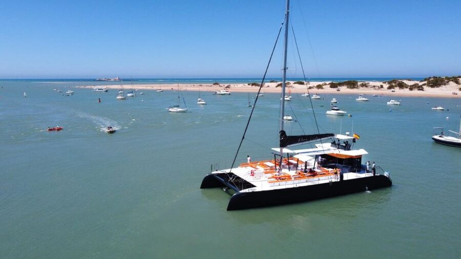Cádiz: Bay of Cádiz Catamaran Tour with Host - Quick take: what makes this cruise worth considering