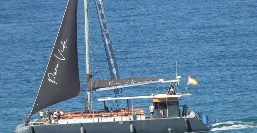 Cádiz: Bay of Cádiz Catamaran Tour with Host - What this 75-minute Cádiz cruise is really like