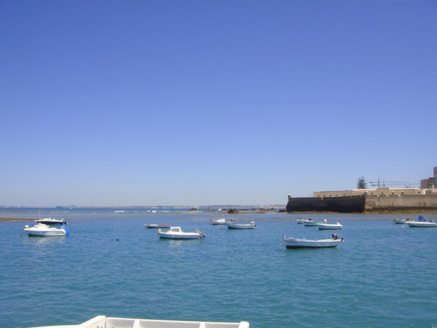 Cádiz: Bay of Cádiz Catamaran Tour with Host - The southern route: forts, shipyards, and the Constitution Bridge