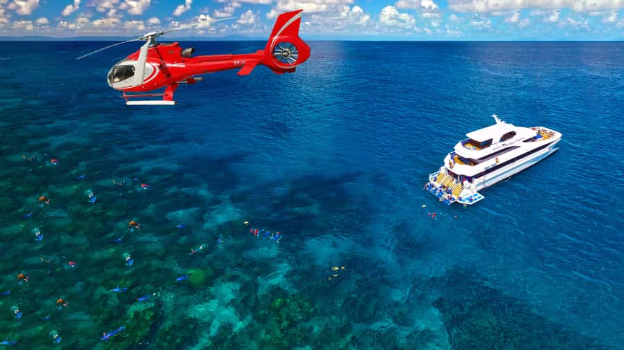 Cairns: Great Barrier Reef Cruise & Scenic Helicopter Flight - Saxon Reef: your first two hours in the water