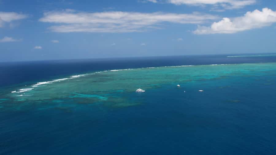 Cairns: Great Barrier Reef Cruise & Scenic Helicopter Flight - Why the crew matters so much