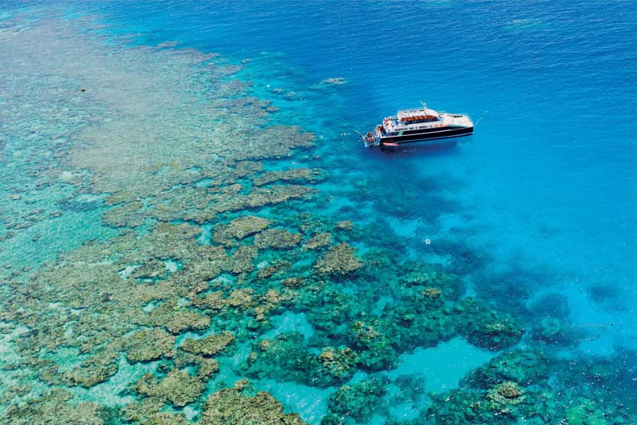 Cairns: Great Barrier Reef Premium Diving Full Day Tour - What the $127 price gets you