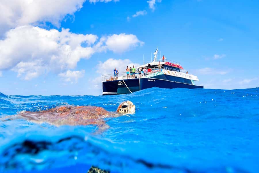 Cairns: Great Barrier Reef Premium Diving Full Day Tour - The second reef site: save some energy for the best action