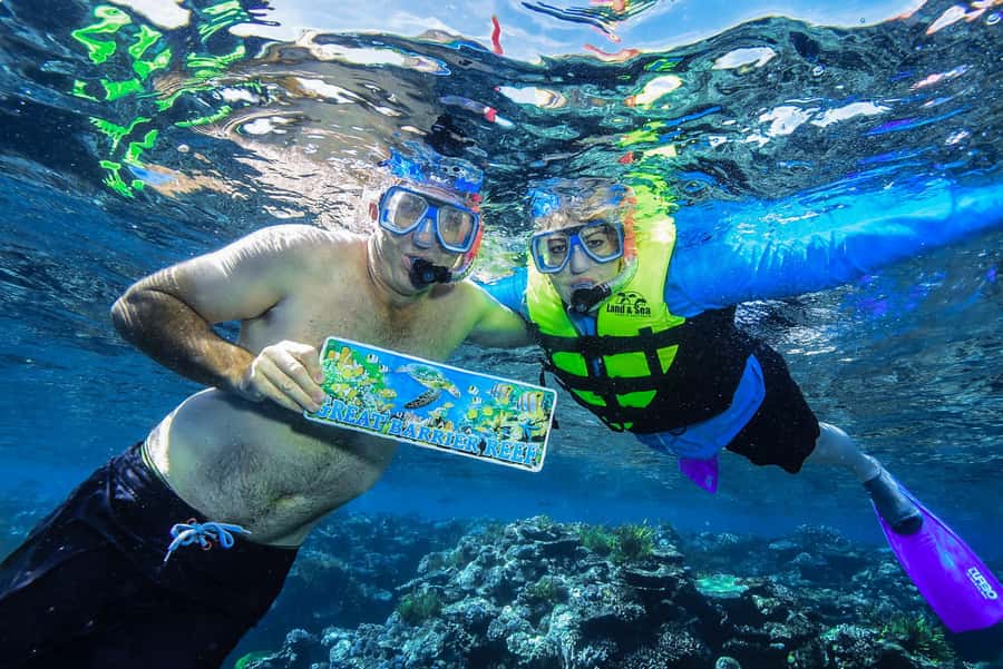 Cairns: Great Barrier Reef Premium Diving Full Day Tour - Scuba options for first-timers and certified participants
