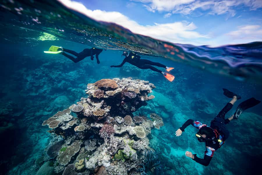 Cairns: Great Barrier Reef Premium Diving Full Day Tour - Food, rest, and five hours in the water