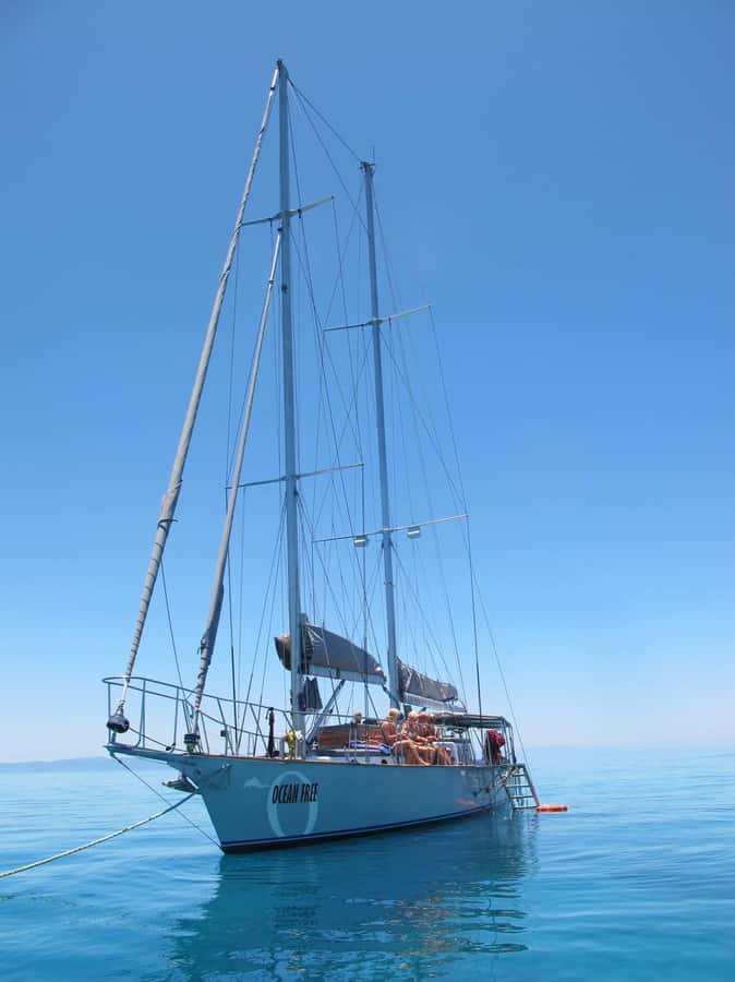Cairns: Green Island & Great Barrier Reef Sailing Tour - The Optional Scuba Program For Beginners And Certified Participants