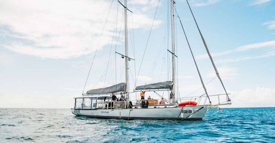Cairns: Green Island & Great Barrier Reef Sailing Tour - The Afternoon Water Session And Sail Home