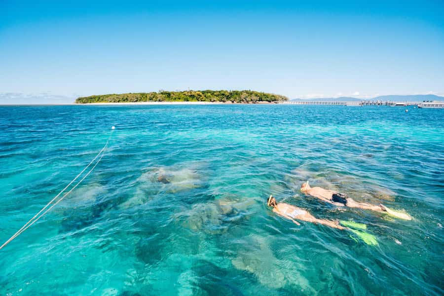 Cairns: Green Island Snorkelling or Glass Bottom Boat - What makes this Green Island trip worth considering