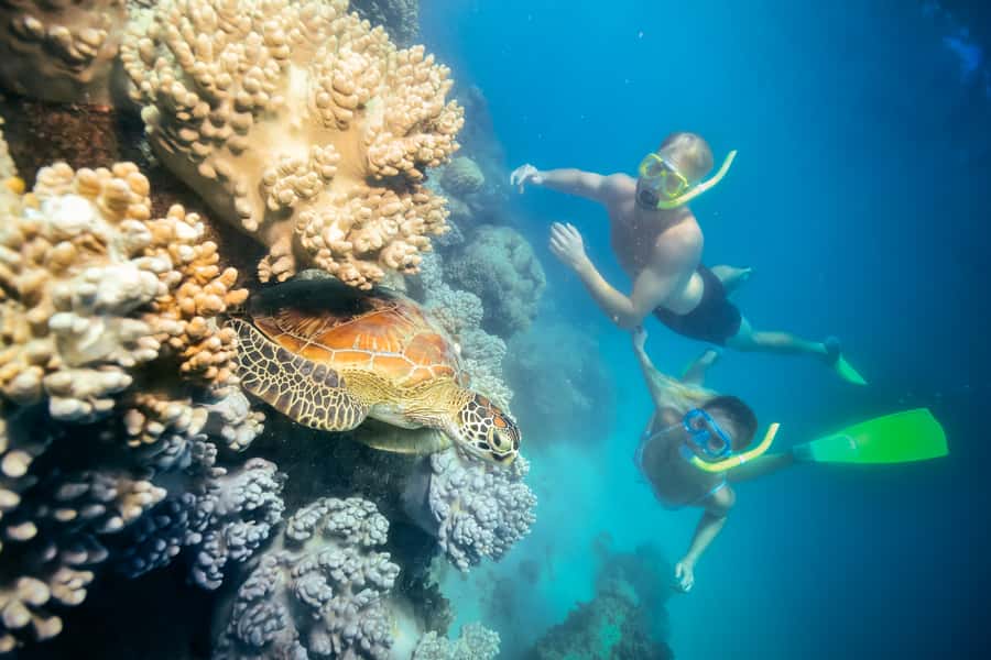 Cairns: Green Island Snorkelling or Glass Bottom Boat - Leaving Cairns on the Great Adventures catamaran