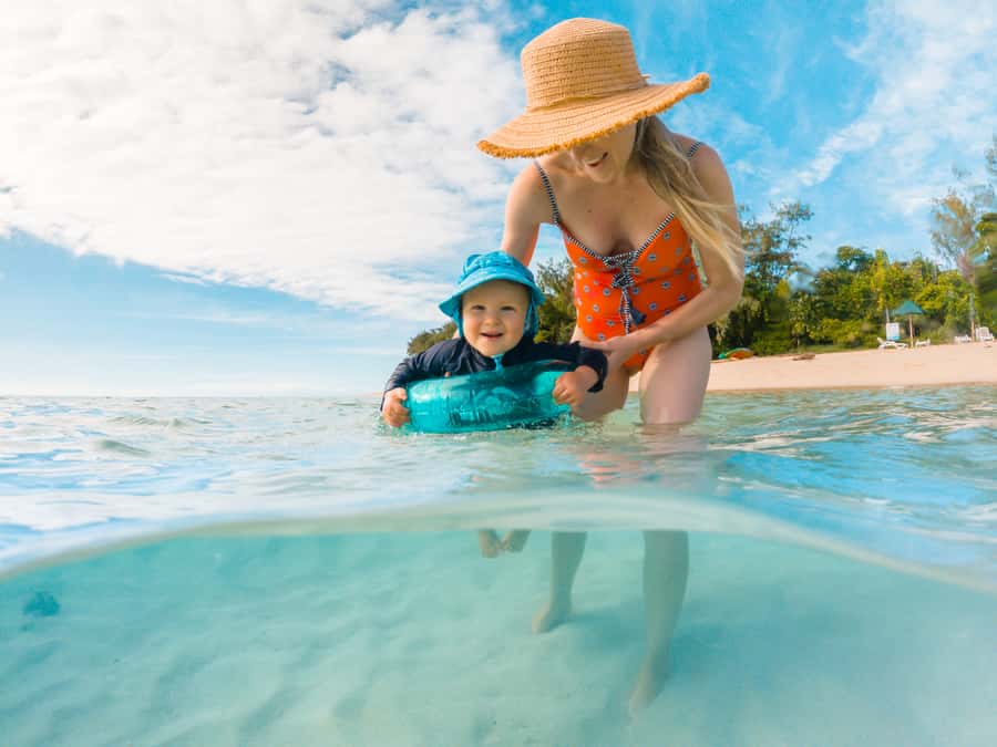 Cairns: Green Island Snorkelling or Glass Bottom Boat - The marine life you might see