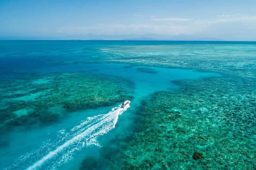 Cairns: Outer and Coral Cay Snorkel and Dive Cruise - The glass-bottom boat adds a useful second view