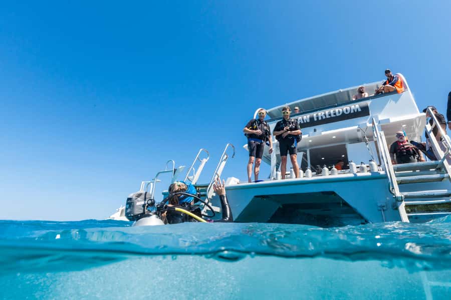 Cairns: Outer and Coral Cay Snorkel and Dive Cruise - The crew, safety, and group atmosphere