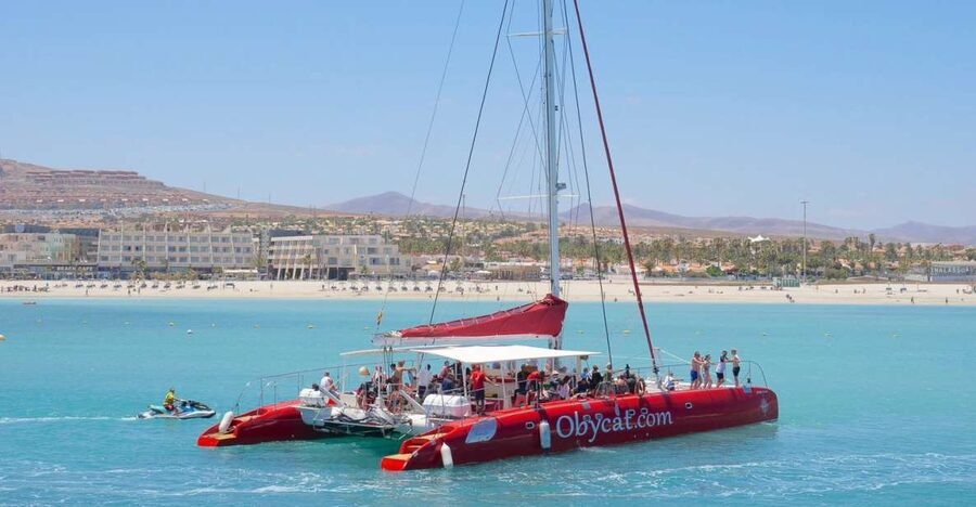 Caleta de Fuste: Catamaran Sailing Experience - Swimming and snorkeling in the clear water