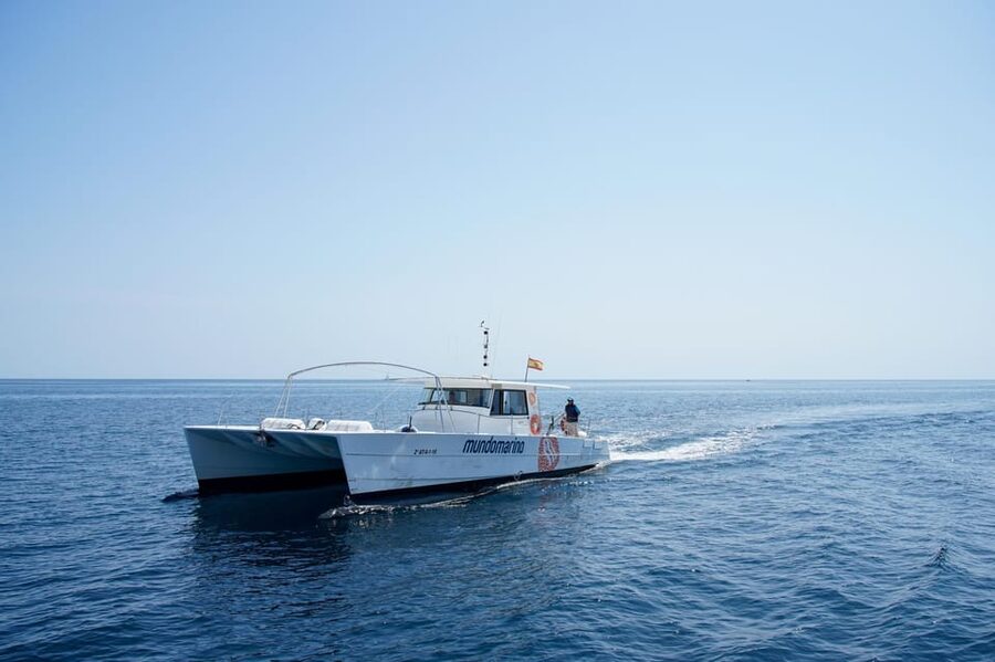 Calpe: Catamaran Tour with Optional Swim Stop - Key points to know before you book