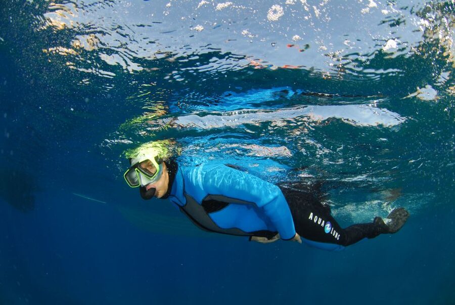 Calvi: Pointe de la Revellata Snorkeling Boat Tour - Timing, weather, and simple planning tips