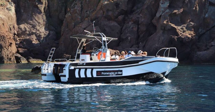 Calvi to Scandola: 4-Hour Boat Tour - Key Points To Know Before You Go