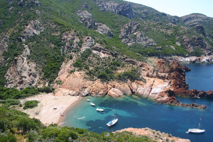 Calvi to Scandola: 4-Hour Boat Tour - Why This Small Boat Makes a Difference