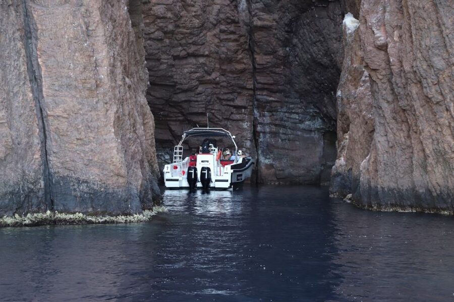 Calvi to Scandola: 4-Hour Boat Tour - The Scandola Reserve Up Close