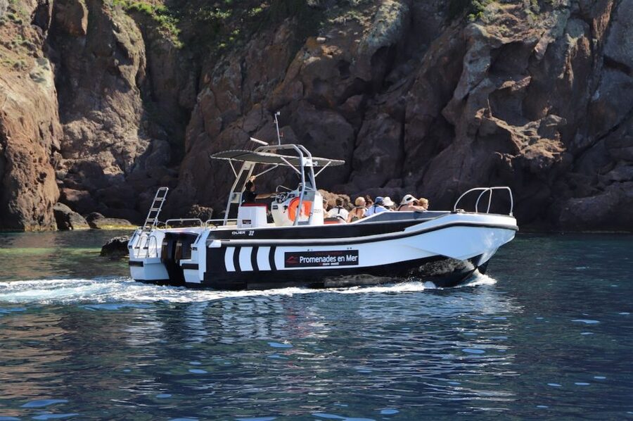 Calvi to Scandola: 4-Hour Boat Tour - A Swim Stop In Clear Corsican Water