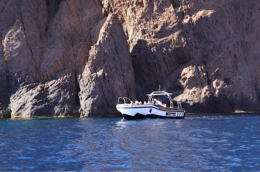 Calvi to Scandola: 4-Hour Boat Tour - The Ride Back And The Corsican Aperitif